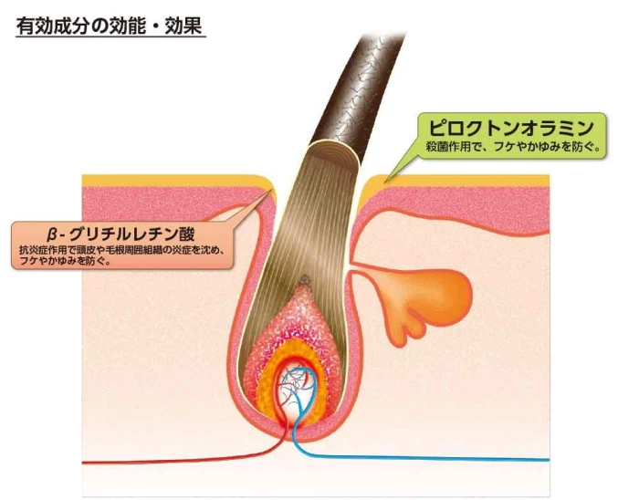 Japan Kaminomoto Medicated Hair Scalp Care Shampoo B&P - 300ml