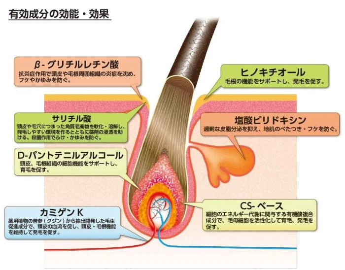 Japan Kaminomoto Medicated Hair Scalp Ladies Kaminomoto EX - 150ml